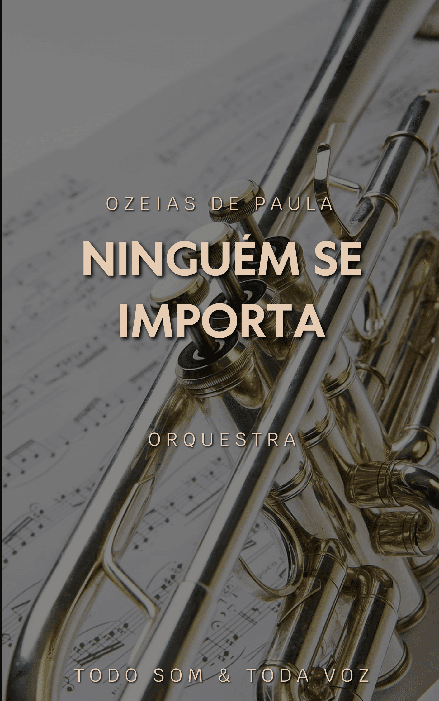 Ninguém se Importa - Ozéias de Paula